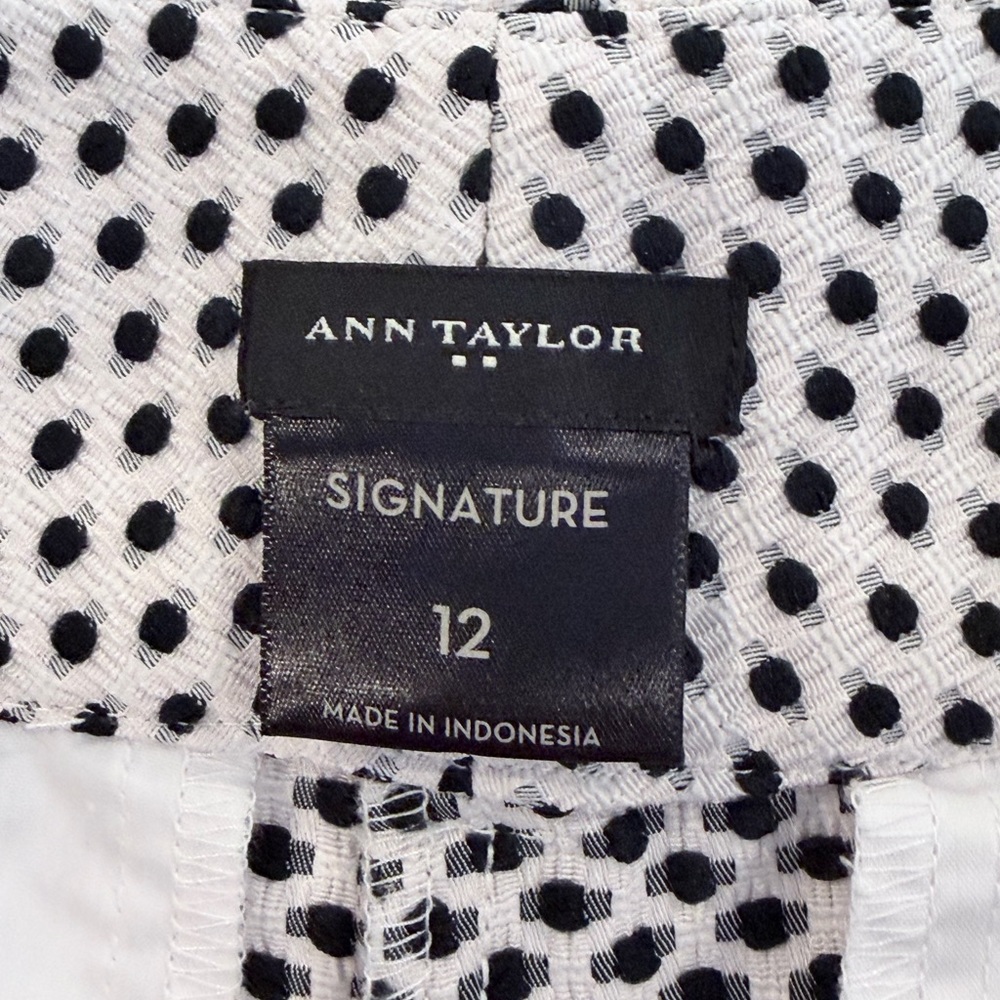 Ann Taylor Signature Navy Polka Dot White Shorts Size 12 Textured Dress Shorts - Picture 3 of 9